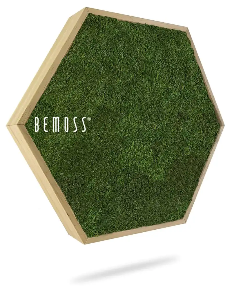 Machový Hexagon FLATMOSS