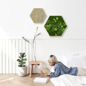 machový hexagon mesia interier