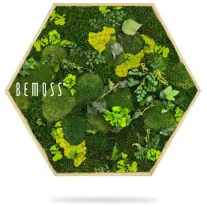 zelená stena s machom a listami s nápisom byť machom napísaným v strede steny, environmentálne umenie , machovy obraz, stabilizovany mach, machová stena, machová dekorácia