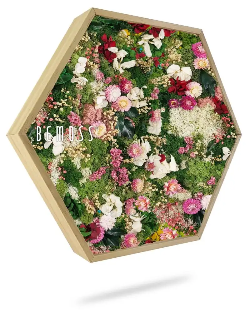 Machový Hexagon RASTLINY Huelma