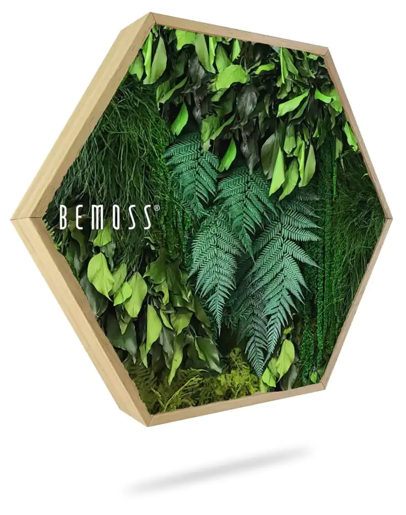 Machový Hexagon RASTLINY Lapas