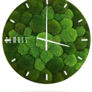 hodiny, na ktorých rastie mach s číslicami dvadsať - štyri na ciferníku a dátumom machovy obraz, stabilizovany mach, machová stena, machová dekorácia