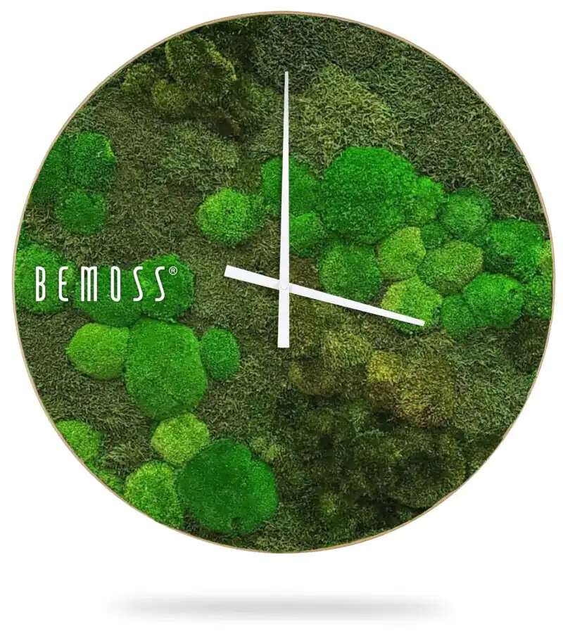 hodiny s machom a bielym pozadím so slovom bemuss na ciferníku a biele hodiny so zeleným listovým vzorom, environmentálne umenie , machovy obraz, stabilizovany mach, machová stena, machová dekorácia