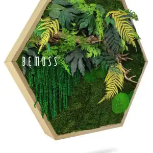 Machový Hexagon RASTLINY Nihara