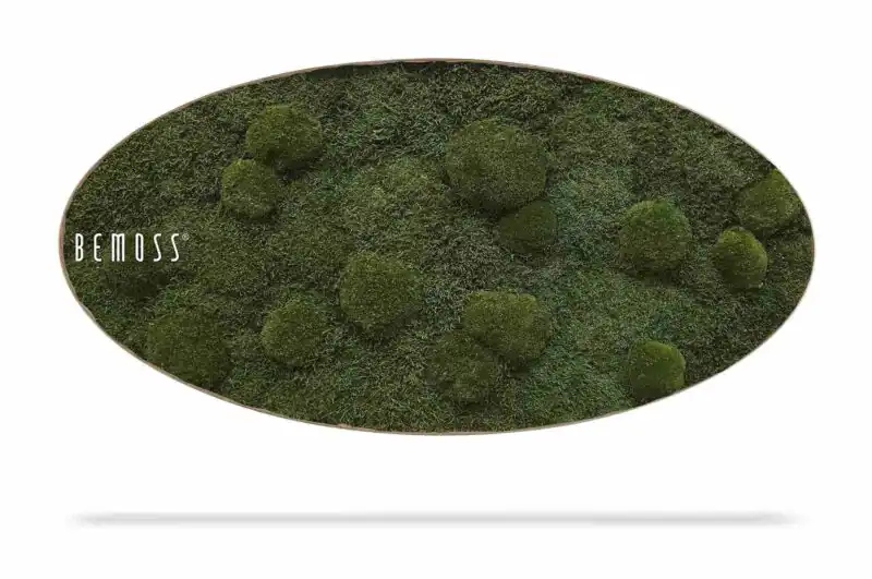 Machový obraz Elipsa FLATMOSS & BOLMOSS Natural