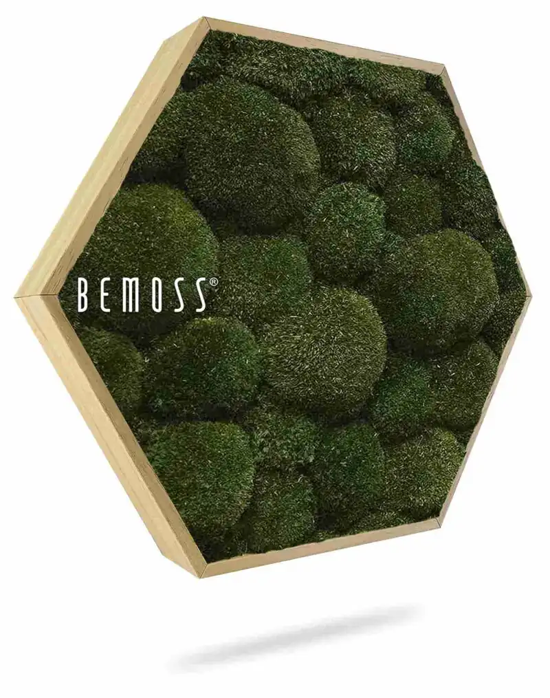 Machový Hexagon BOLMOSS Natural green