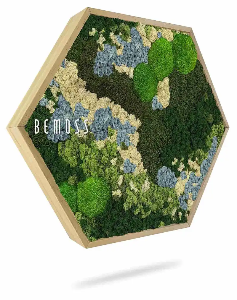 Machový Hexagon BEMOSS® ORTHO ICE