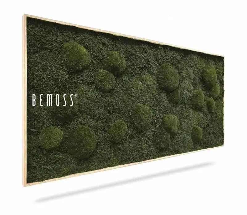 Machový obraz FLATMOSS & BOLMOSS Natural Green