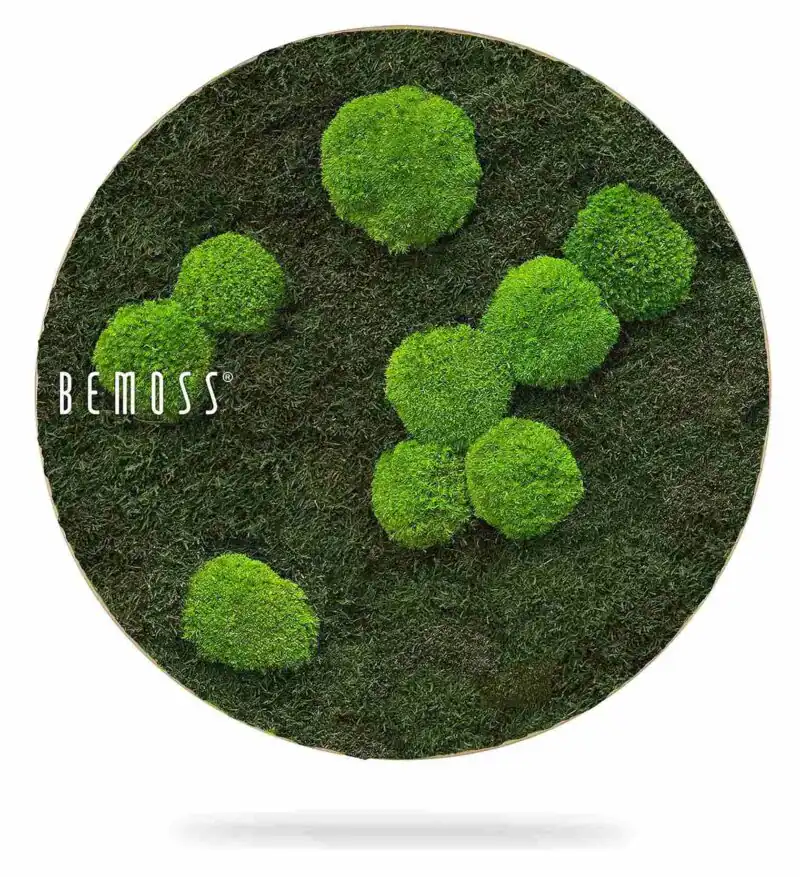 Machový obraz kruh FLATMOSS & BOLMOSS Light Green