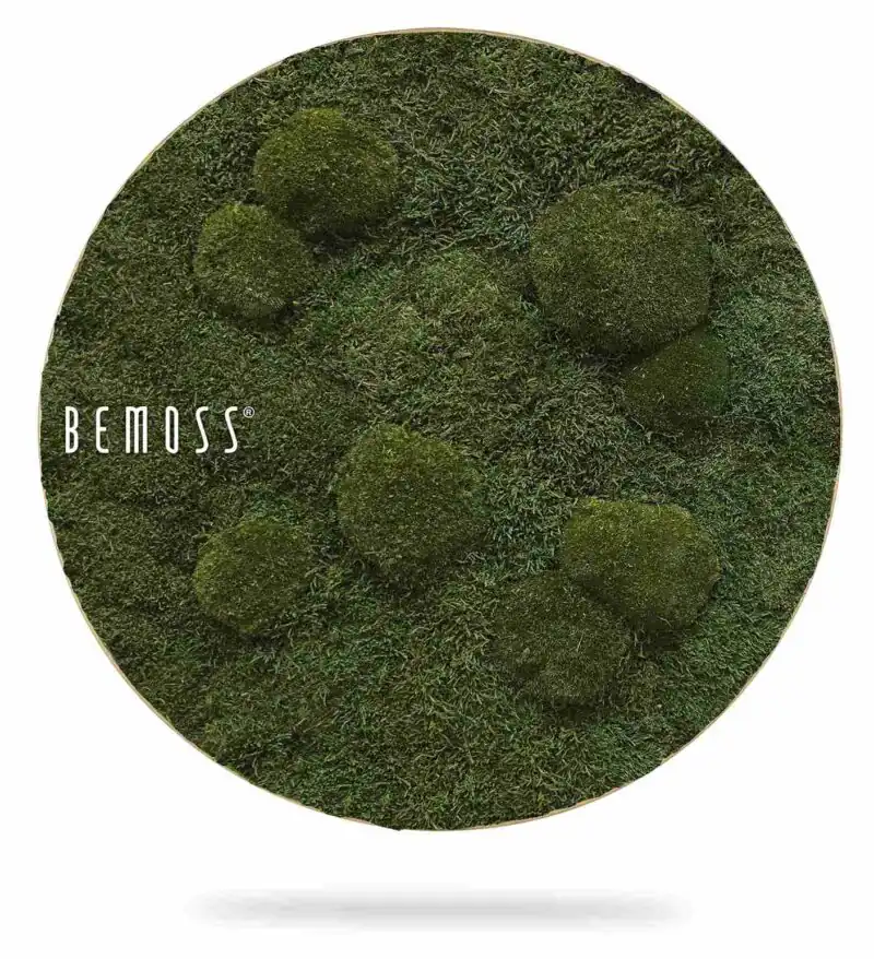 Machový obraz kruh FLATMOSS & BOLMOSS Natural Green