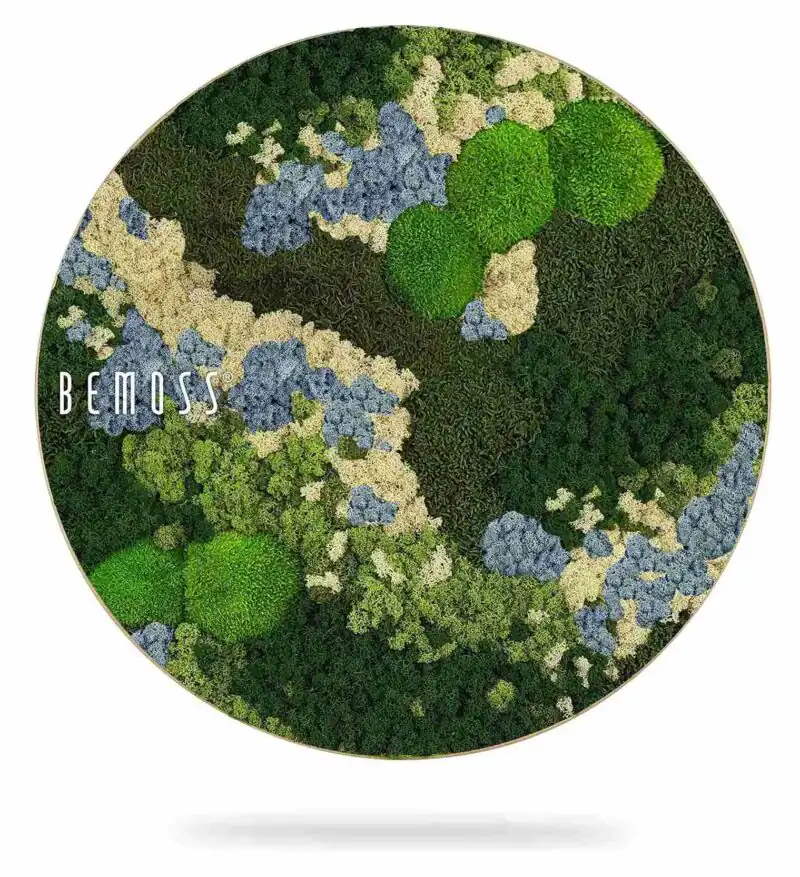 Machový obraz kruh BEMOSS® ORTHO ICE