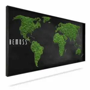 Machový obraz Mapa sveta RONDA black