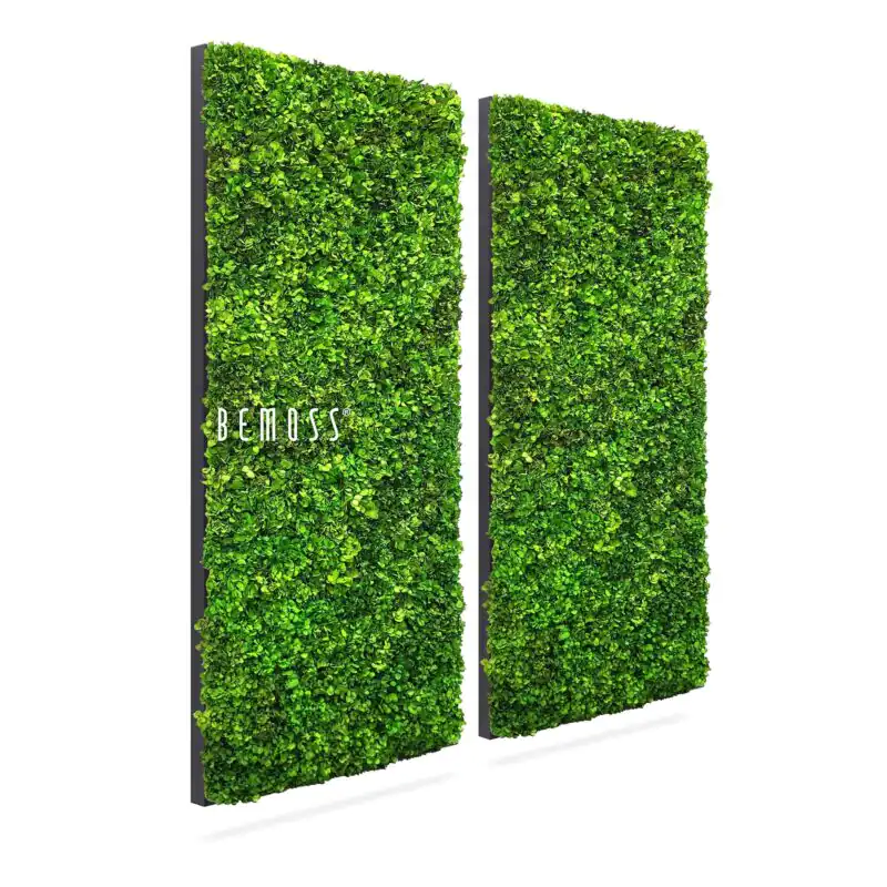 Machový set obrazov BEMOSS® MIMI