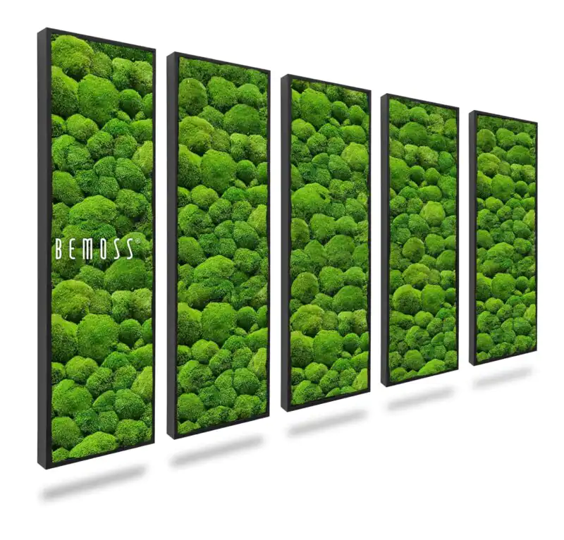 Machový set obrazov BOLMOSS