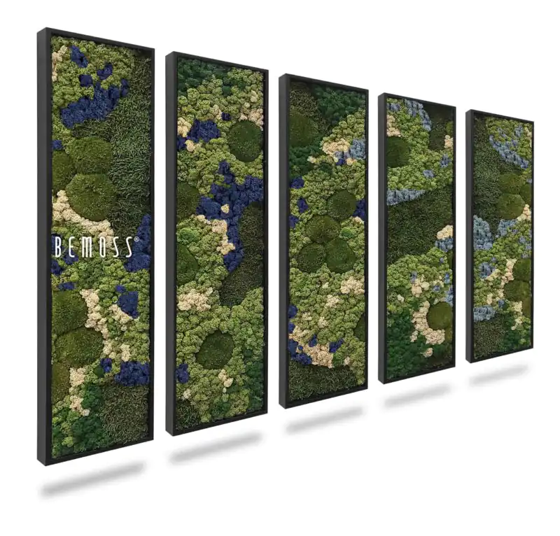 Machový set obrazov BEMOSS® ORTHO BLUE