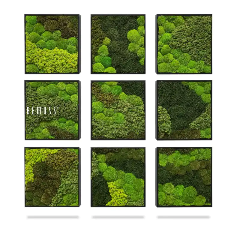 Machový set obrazov BEMOSS® ORTHO VERDIA Mosaic