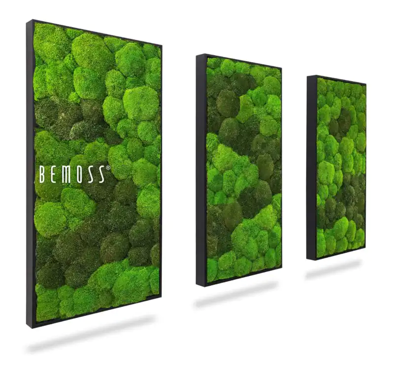 Machový set obrazov BOLMOSS DUO LIGHT