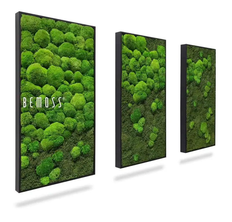 Machový set obrazov FLATMOSS & BOLMOSS LIGHT TRIO