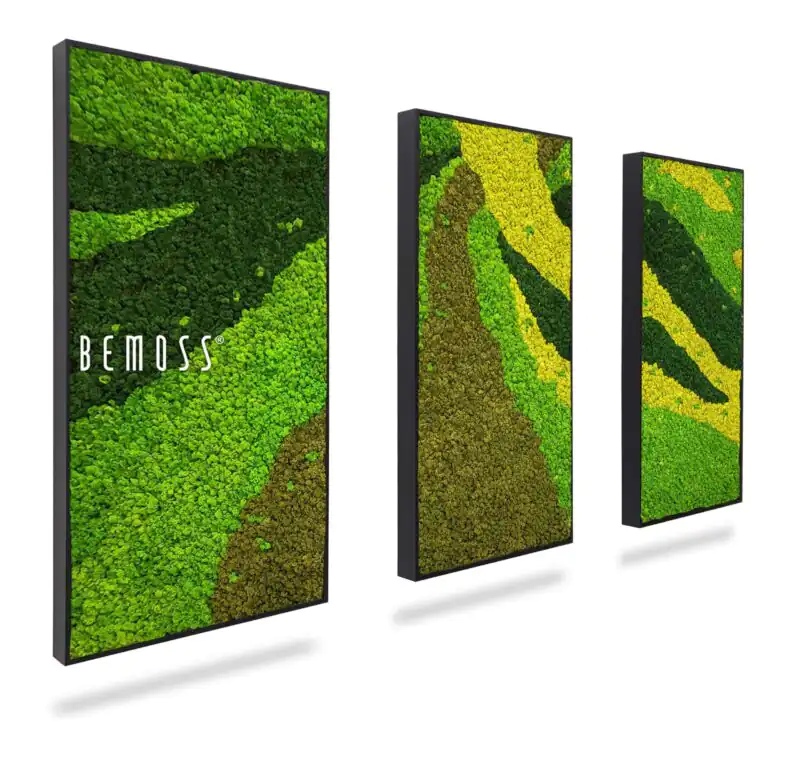 Machový set obrazov BEMOSS® ORTHO CARROT