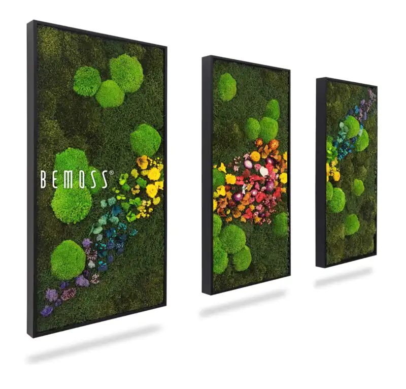 Machový set obrazov ACEBO