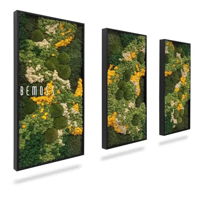 Machový set obrazov BEMOSS® ORTHO YELLOW