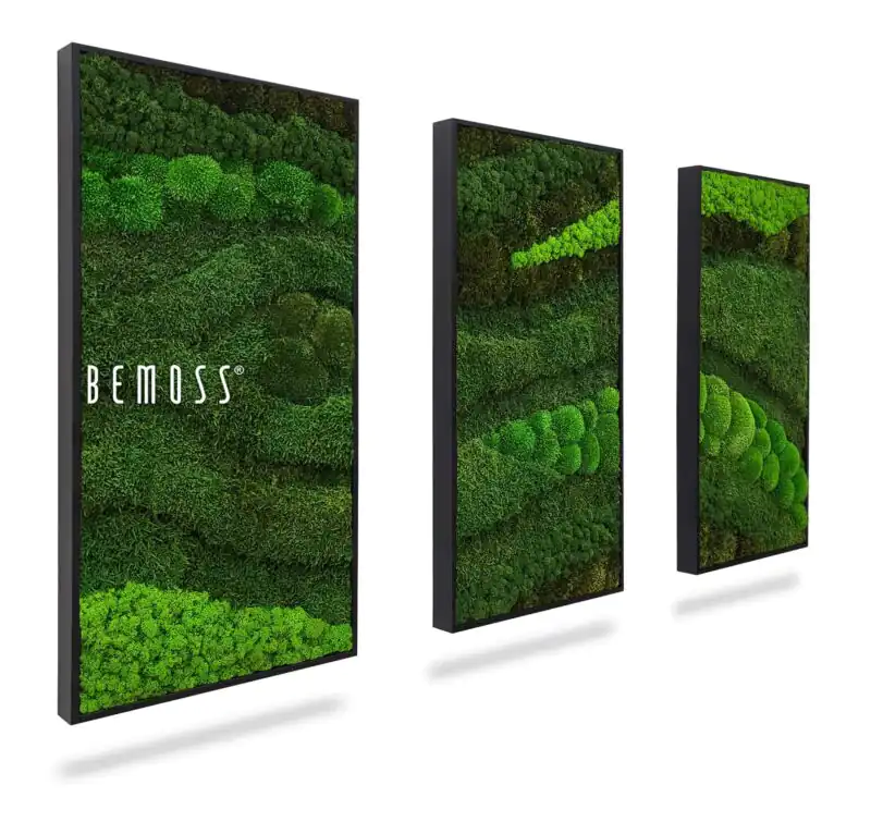 Machový set obrazov BEMOSS® ORTHO TOCÓN