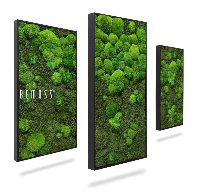 Machový set obrazov FLATMOSS & BOLMOSS LIGHT Trinity