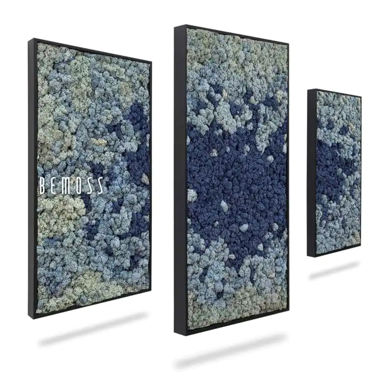 Machový set obrazov BEMOSS® ORTHO SPLASH