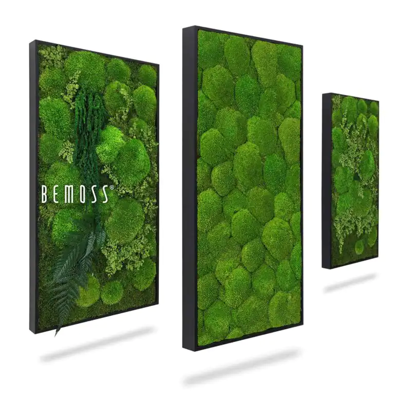 Machový set obrazov MOREILO