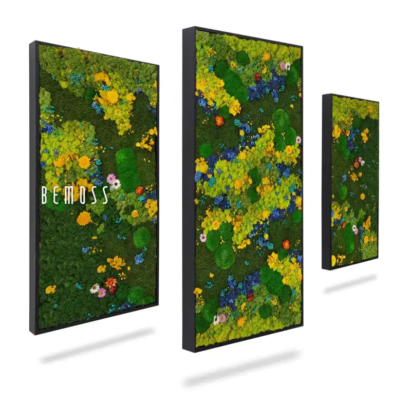 Machový set obrazov TORRES