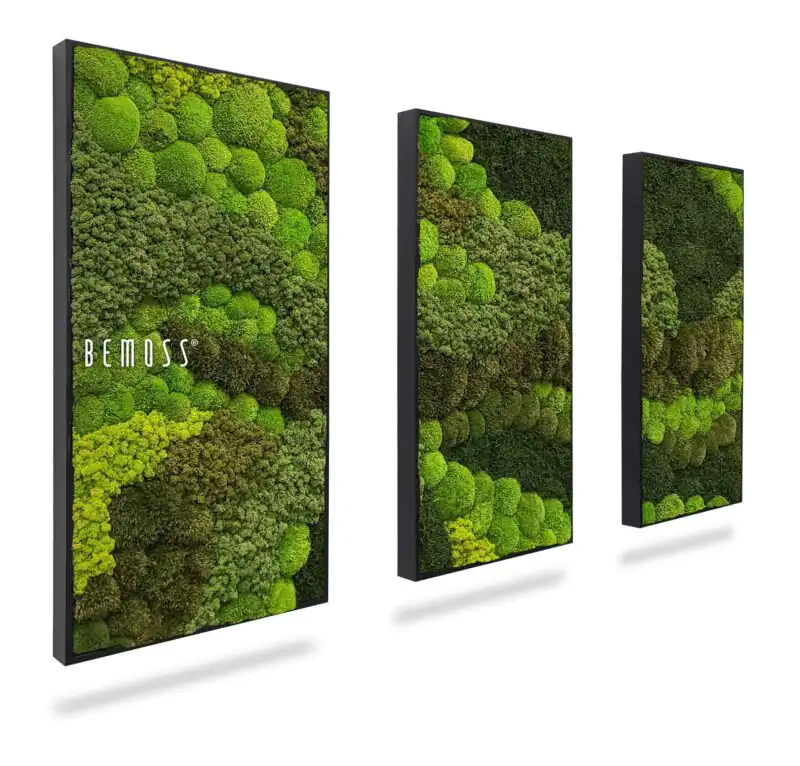 Machový set obrazov BEMOSS® ORTHO VERDIA TRIO
