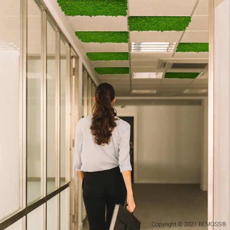 Machovy stropný panel LIŠAJNÍK