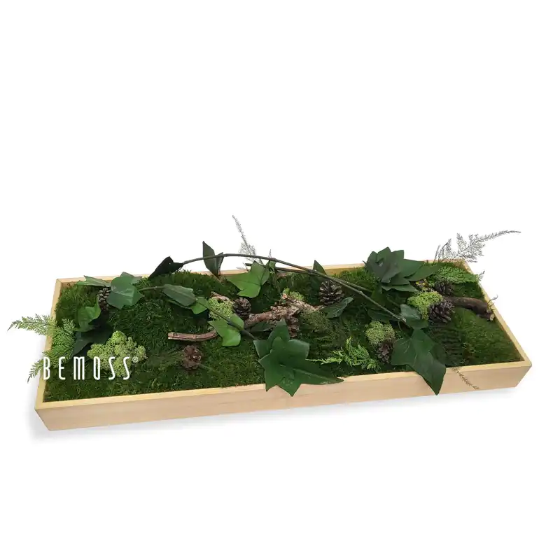 Machová dekorácia na stôl RASTLINY Aragonia