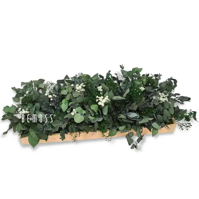 Machová dekorácia na stôl RASTLINY Pamonia