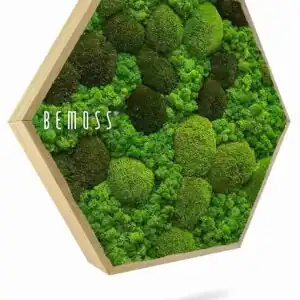 Machový Hexagon BEMOSS® ORTHO MONETO - Thumbnail Image 1