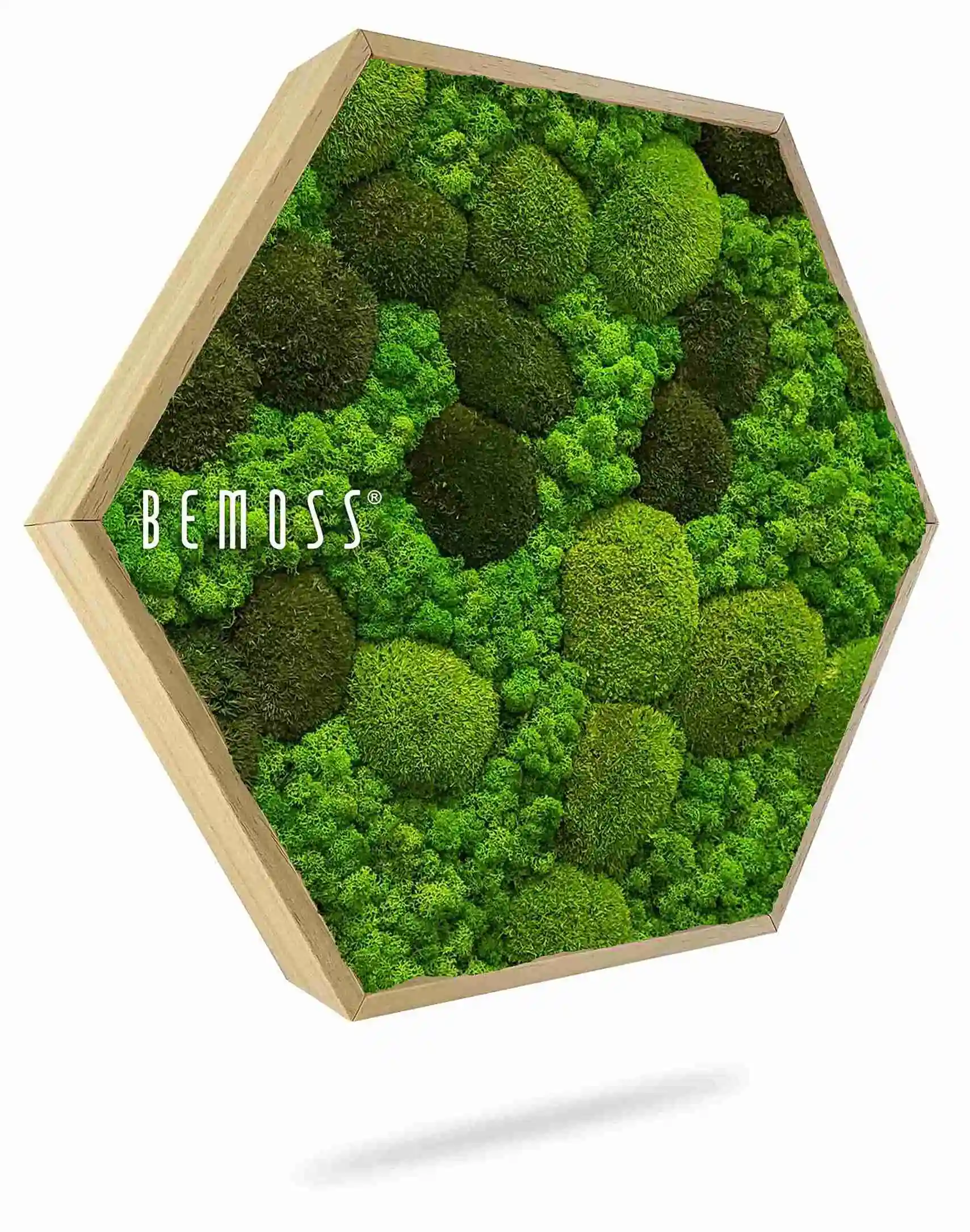 Machový Hexagon BEMOSS® ORTHO MONETO – Obrázok 1