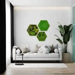 Machový Hexagon BEMOSS® ORTHO MONETO - Thumbnail Image 2
