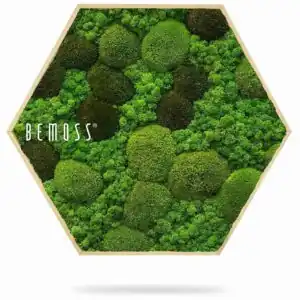 Machový Hexagon BEMOSS® ORTHO MONETO - Thumbnail Image 3