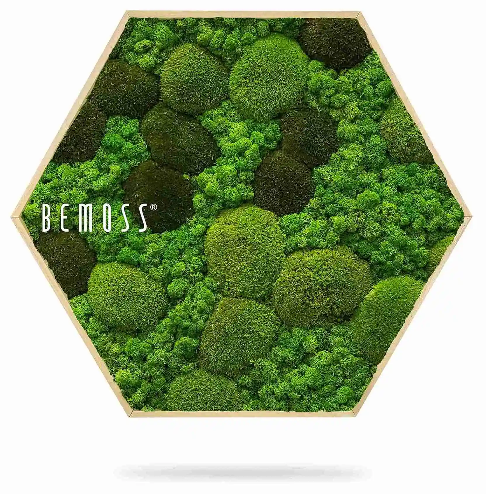 Machový Hexagon BEMOSS® ORTHO MONETO – Obrázok 3