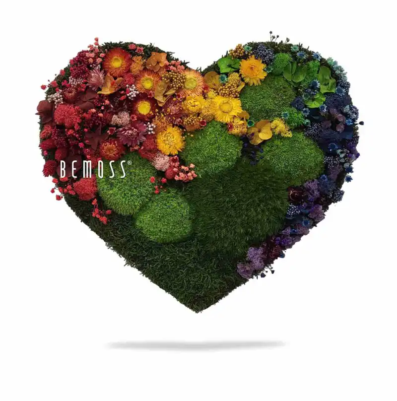 Machové SRDCE Acebo