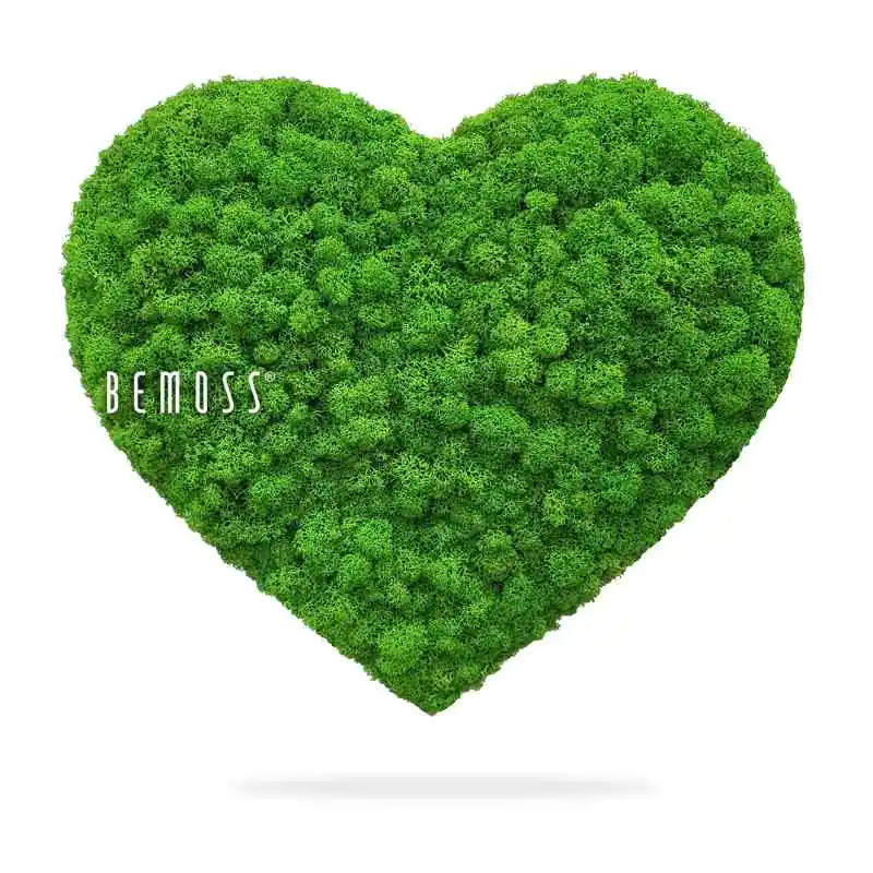 Machové SRDCE LIŠAJNÍK mono GREEN