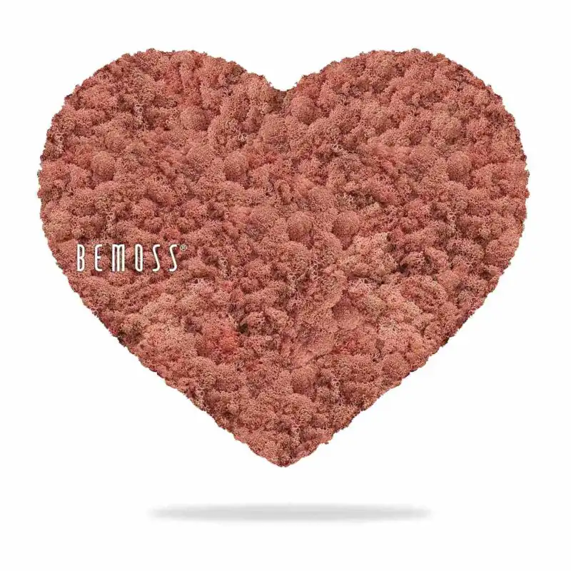 Machové SRDCE LIŠAJNÍK mono PINK