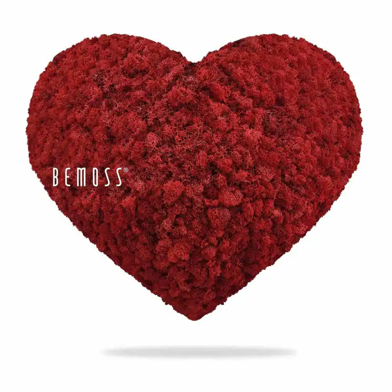 Machové SRDCE LIŠAJNÍK mono RED