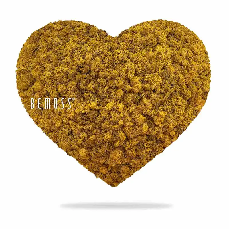 Machové SRDCE LIŠAJNÍK mono YELLOW