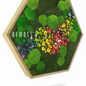 Machový Hexagon RASTLINY Acebo - Thumbnail Image 1