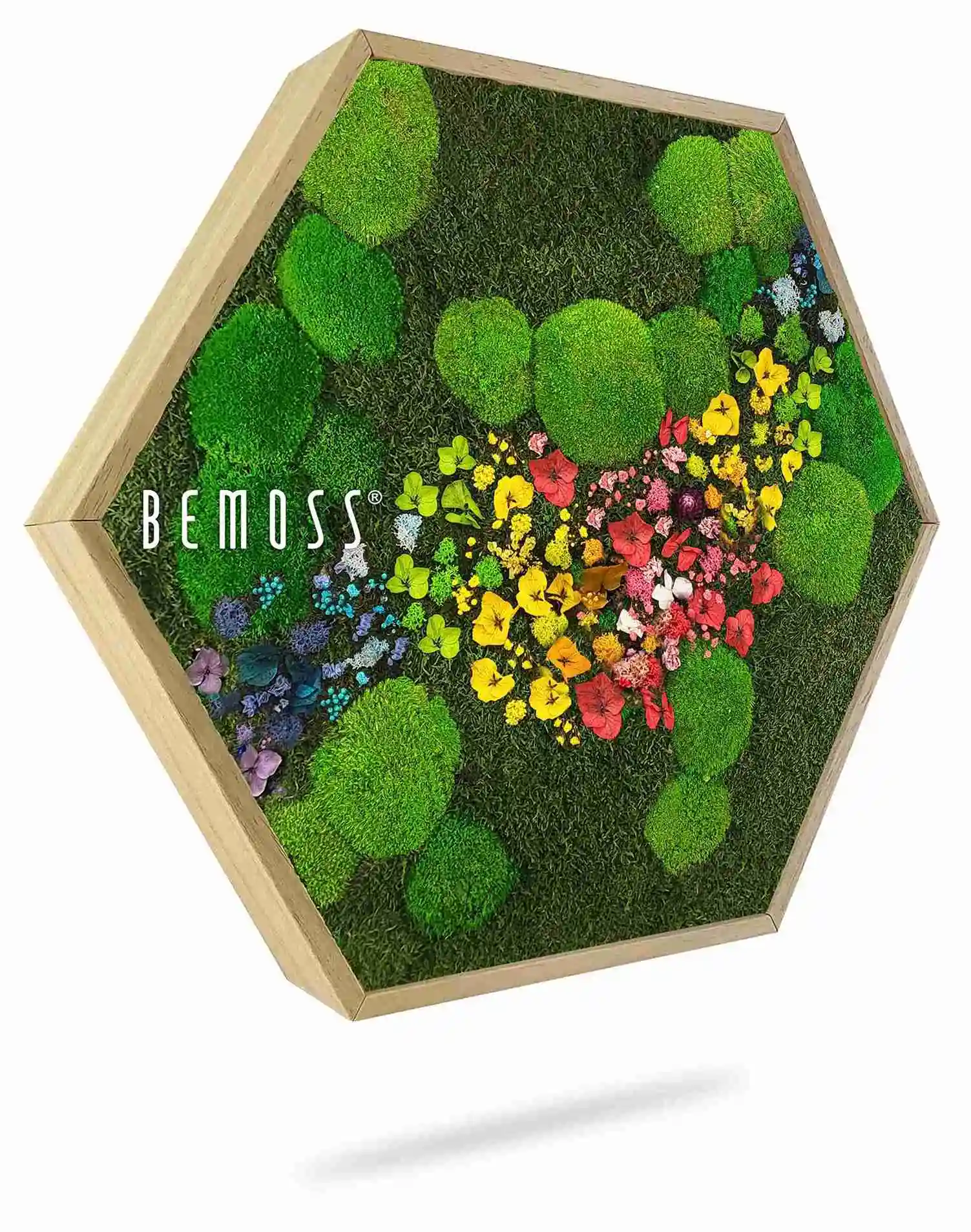 Machový Hexagon RASTLINY Acebo – Obrázok 1