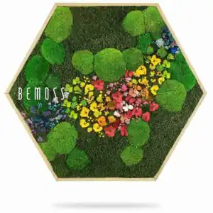 Machový Hexagon RASTLINY Acebo - Thumbnail Image 3