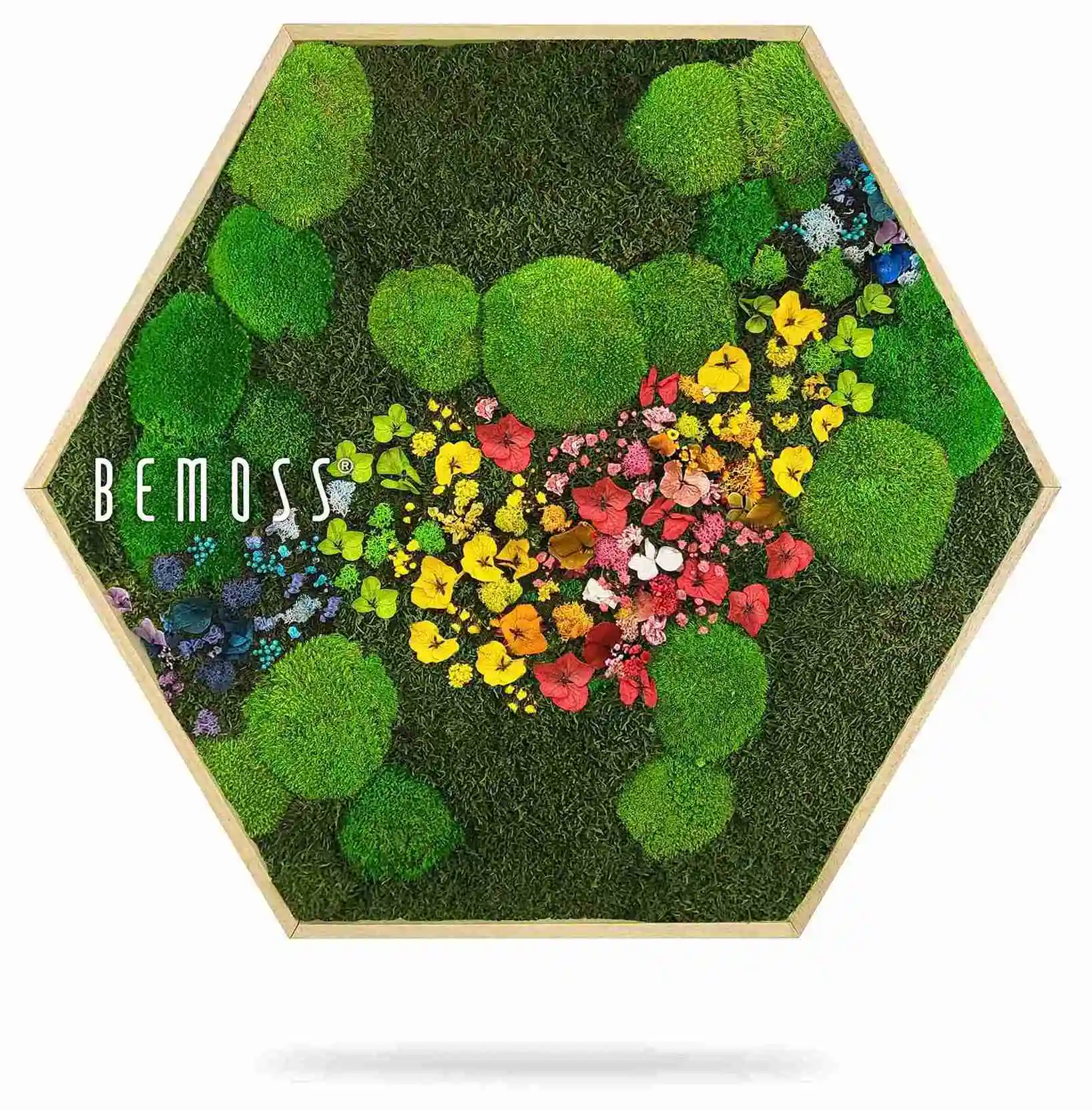 Machový Hexagon RASTLINY Acebo – Obrázok 3