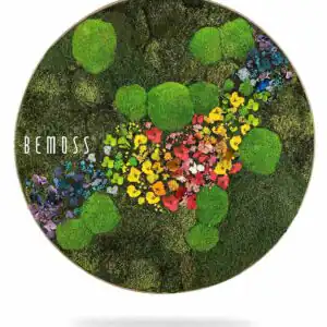 Machový obraz kruh RASTLINY Acebo