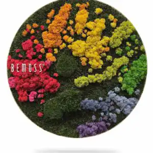 Machový obraz kruh BEMOSS® ORTHO IRIS